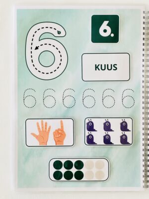 Numbrite õppimine kollidega - Image 7