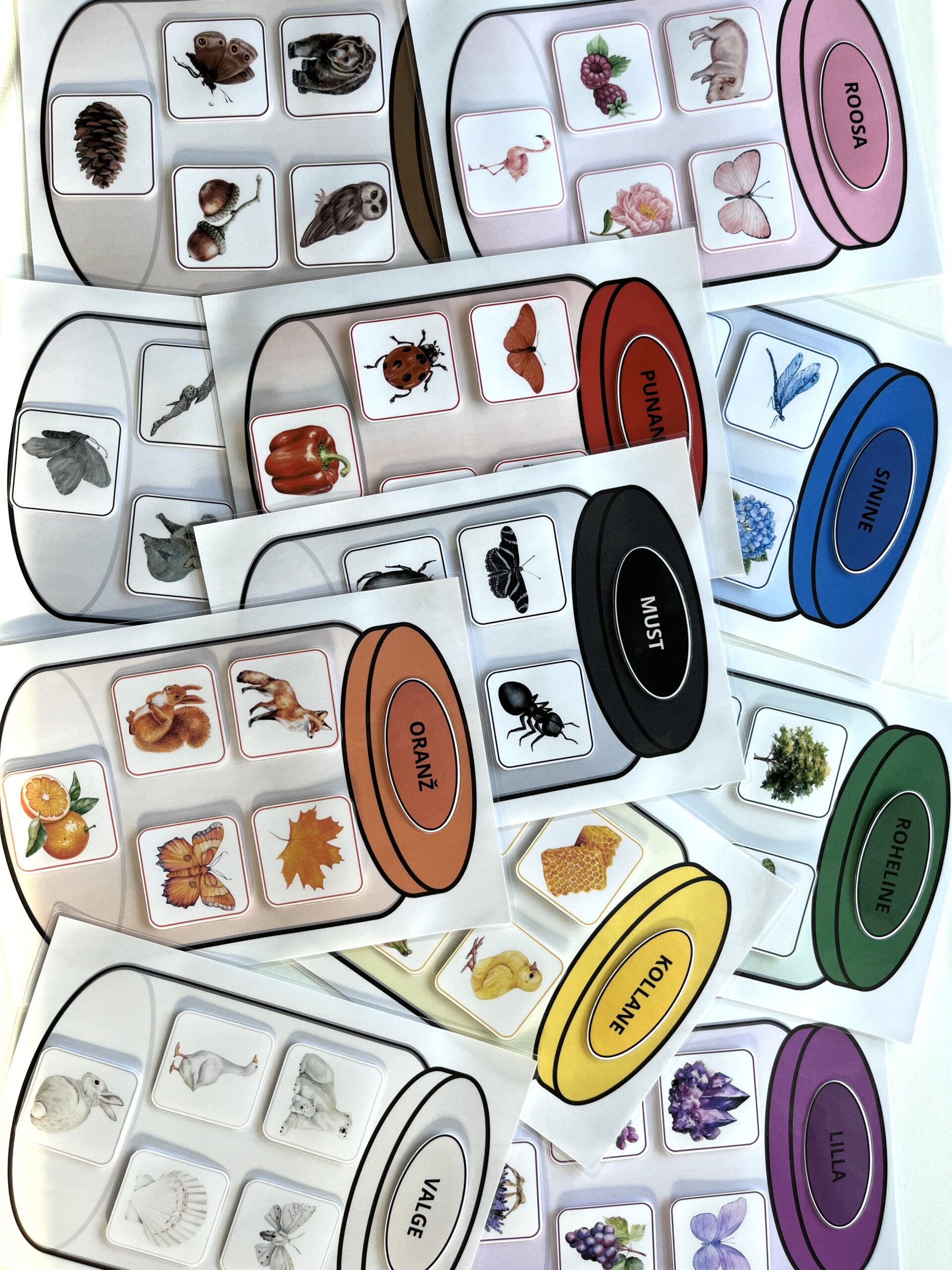 Värvide õppimine - Image 13